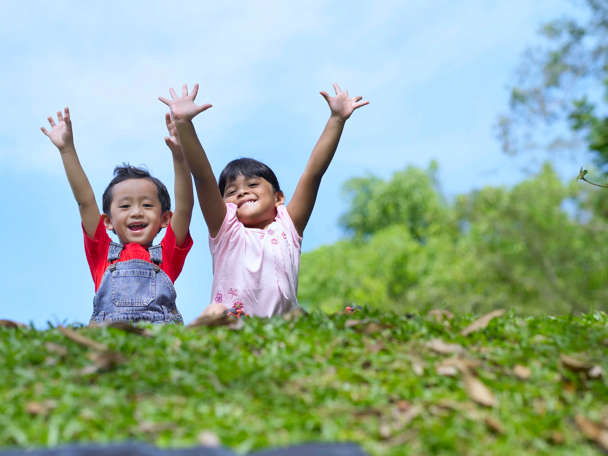 low-angle-portrait-cheerful-siblings-with-arms-raised-sitting-grassy-field.jpg
